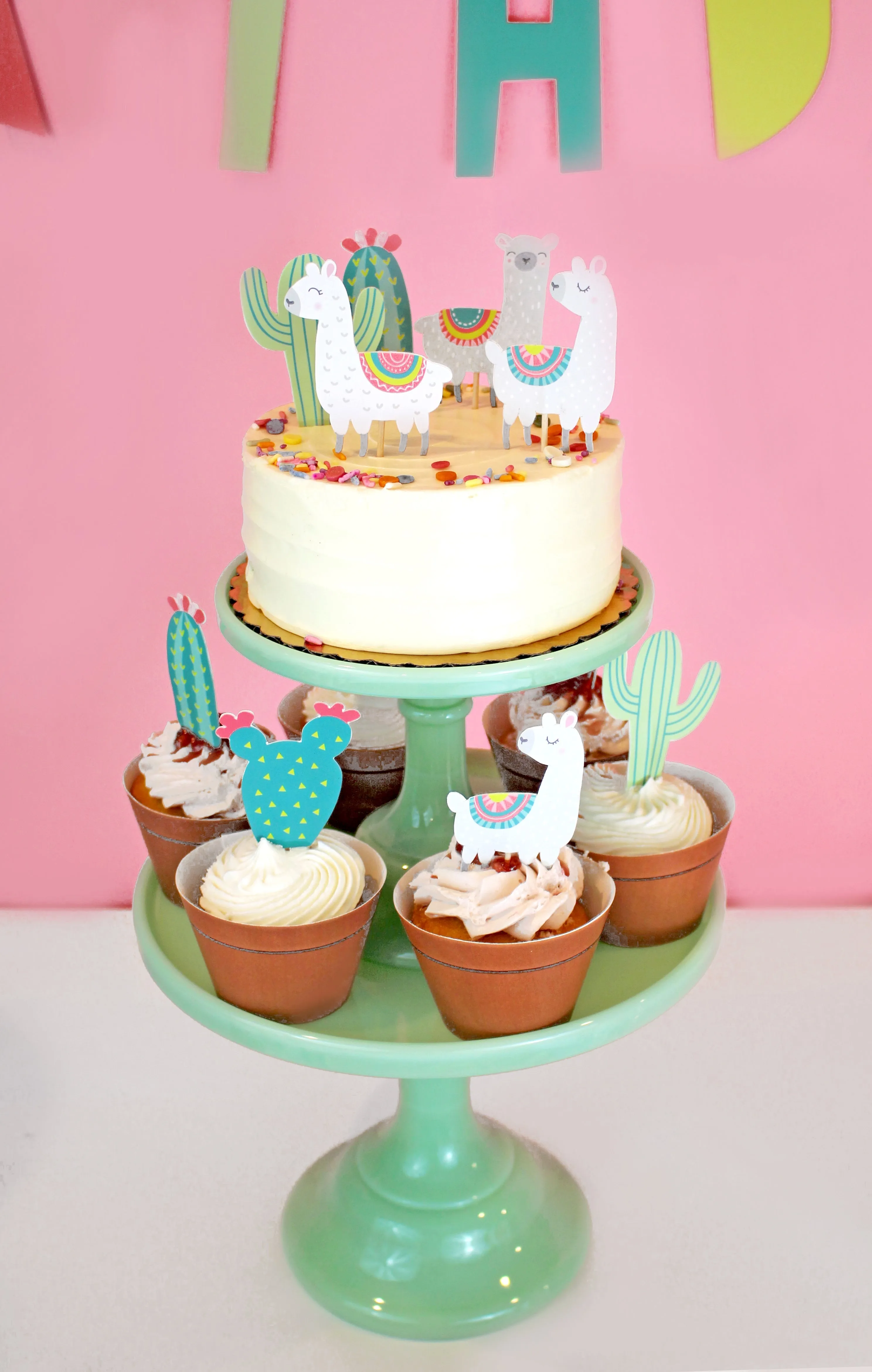 Llama And Cactus Party - Birthday Party Decoration Kit - 12 Guests