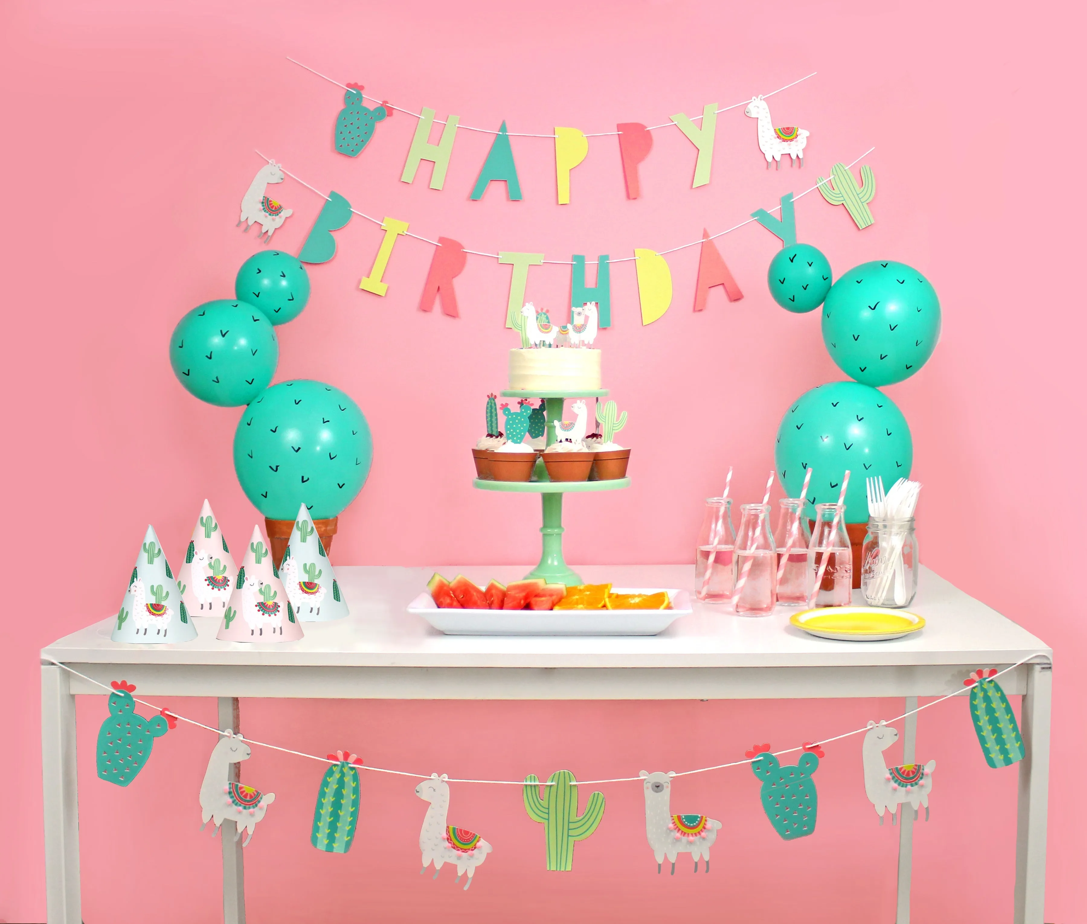 Llama And Cactus Party - Birthday Party Decoration Kit - 12 Guests