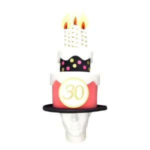 Special Birthday Cake Hat